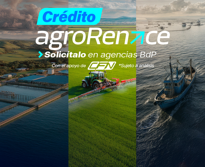 Crece con más