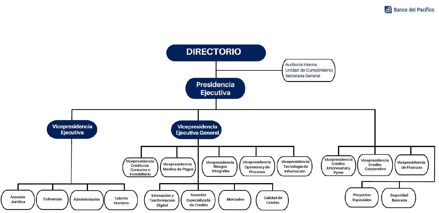 Estructura Organizativa Estructura Organizativa