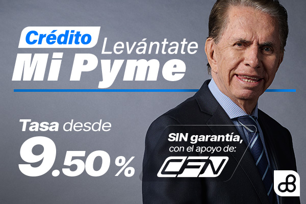LevantatePyme