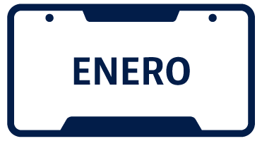 Matr&iacute;cula Vehicular