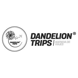 DANDELION TRIPS