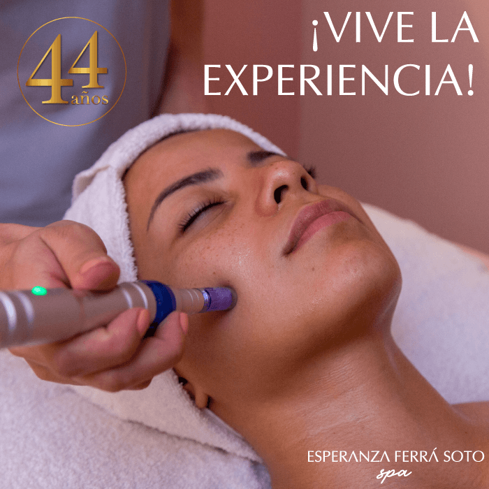 Vive un momento de renovación y relajación