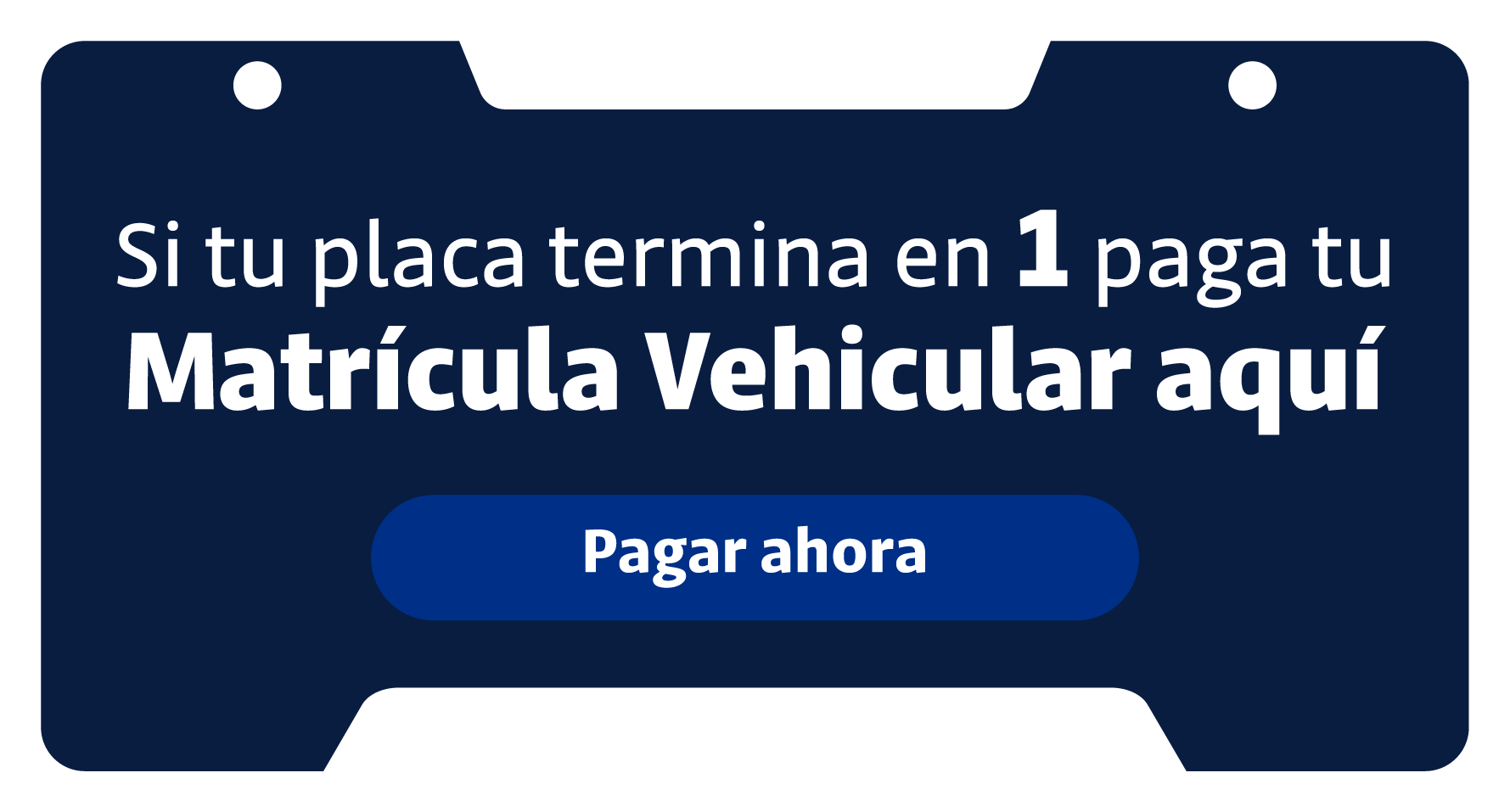 Matrícula Vehicular