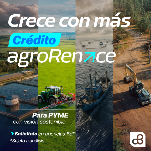 Crédito Agrorenace